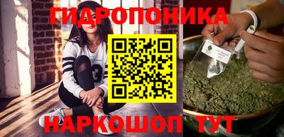 амф Заволжье